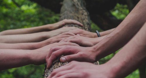 Influencer team collaboration